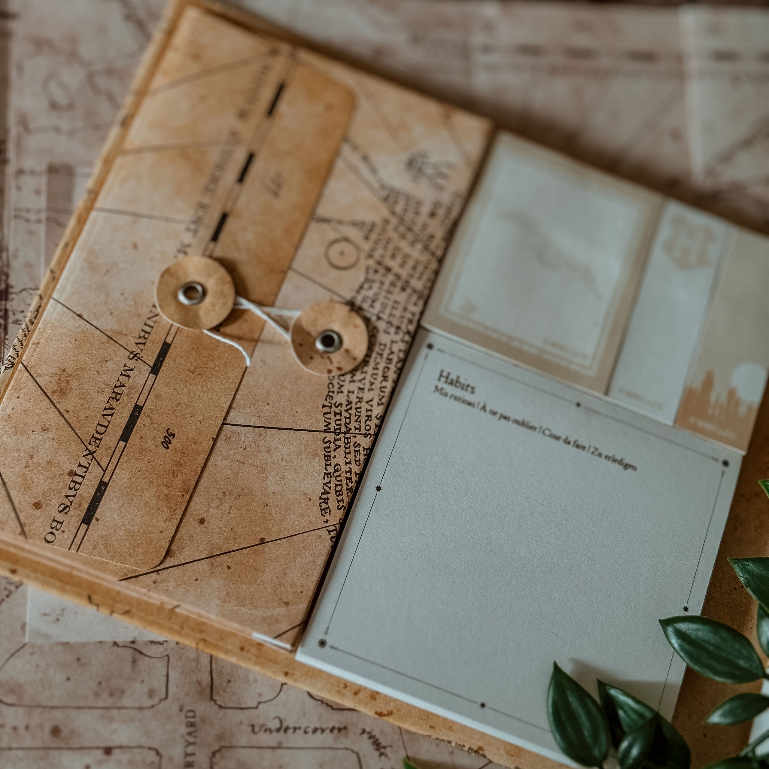 Product image Harry Potter - Marauder's Map Weekly Planner Book