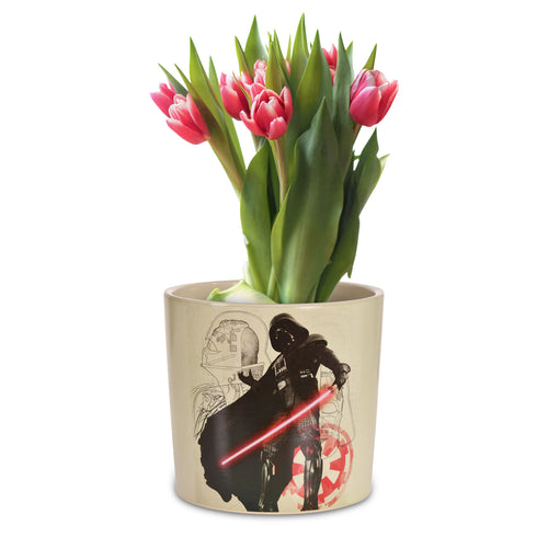 Zdjęcie produktu Star Wars - Darth Vader Doniczka