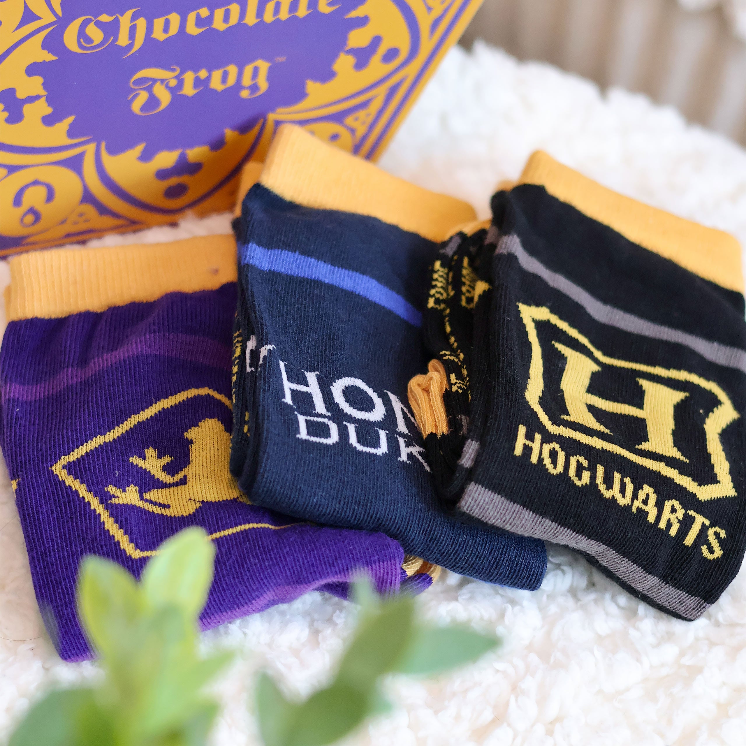Zdjęcie produktu Harry Potter - Zestaw 3 par skarpetek w pudełku Czekoladowej Żaby
