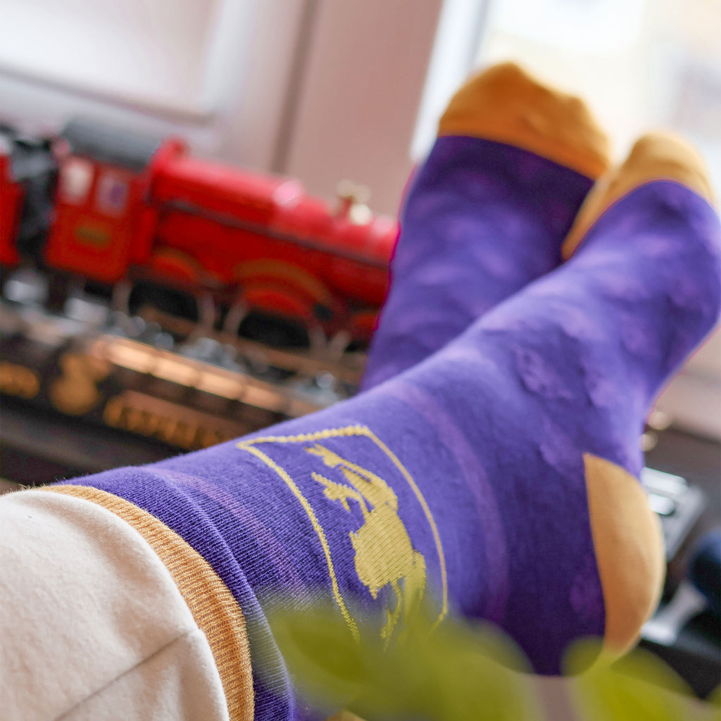 Zdjęcie produktu Harry Potter - Zestaw 3 par skarpetek w pudełku Czekoladowej Żaby