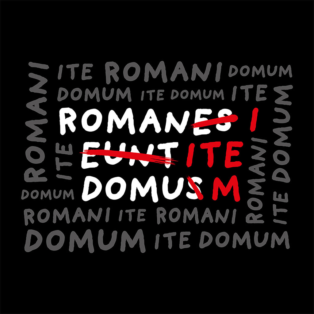 Zdjęcie produktu Koszulka Romani Ite Domum dla fanów Monty Pythona
