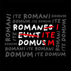 Zdjęcie produktu Koszulka Romani Ite Domum dla fanów Monty Pythona