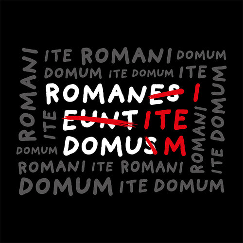 Zdjęcie produktu Koszulka Romani Ite Domum dla fanów Monty Pythona