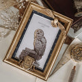 Zdjęcie produktu Harry Potter - Ramka na zdjęcia Hedwiga