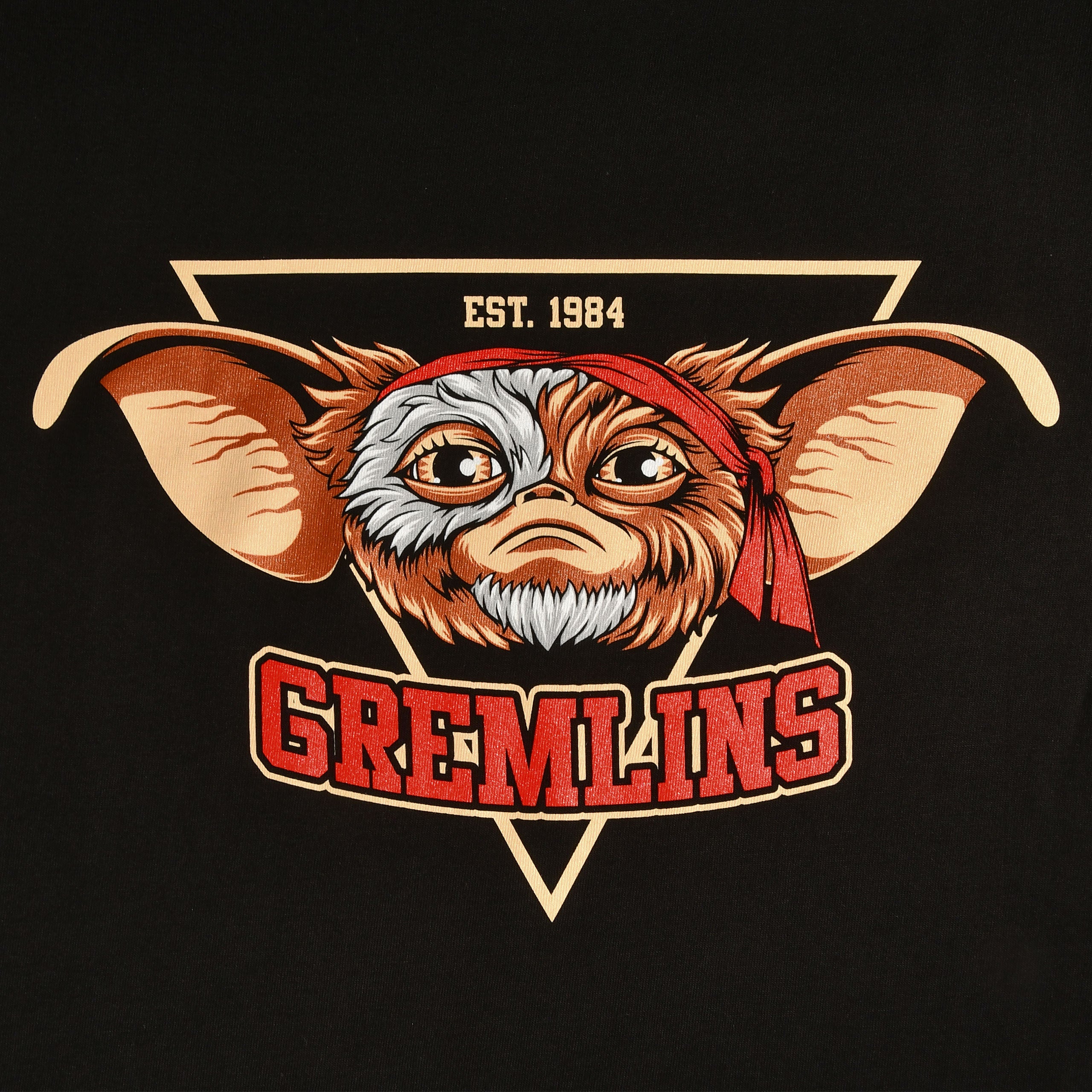 Zdjęcie produktu Gremlins Est. 1984 T-Shirt czarny
