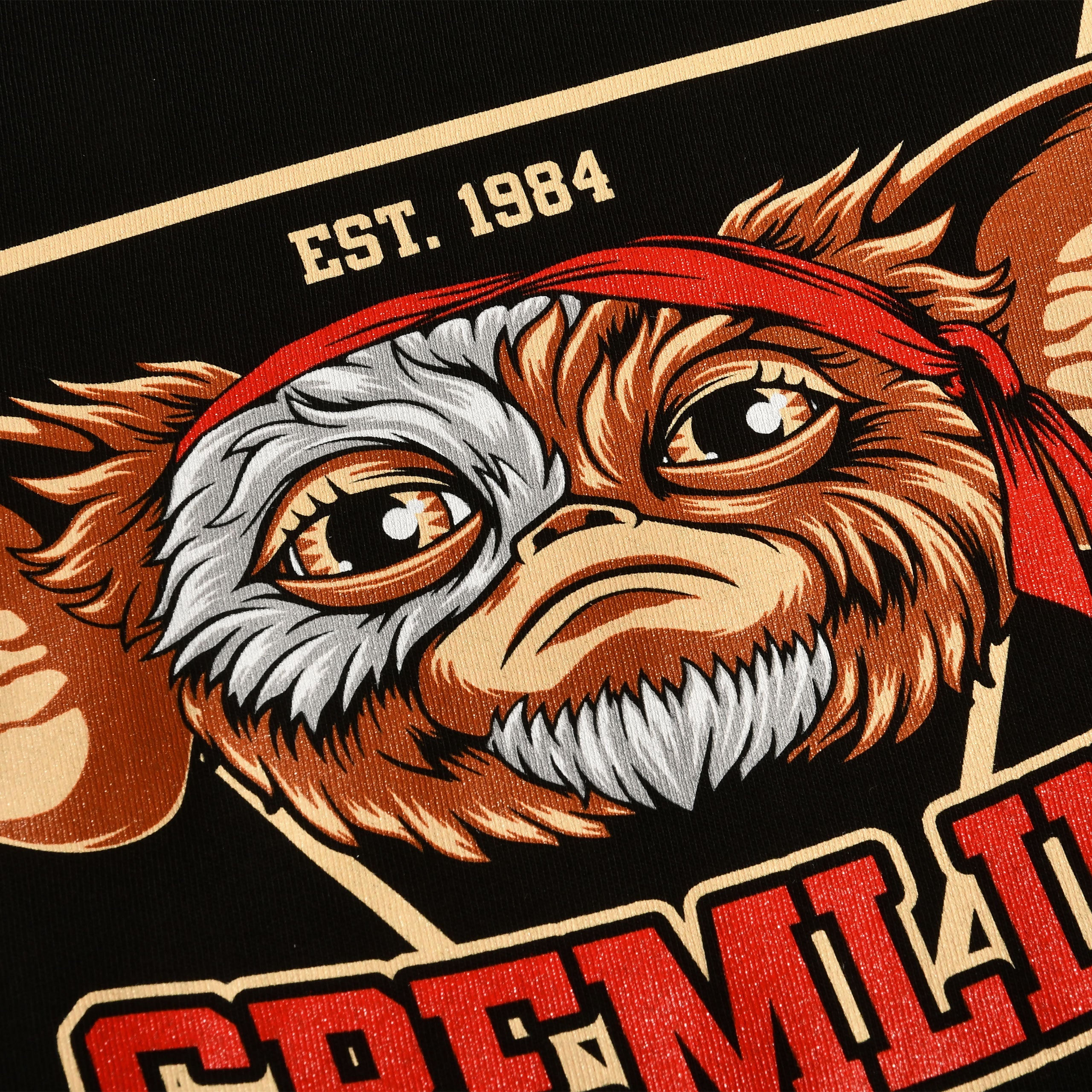 Zdjęcie produktu Gremlins Est. 1984 T-Shirt czarny