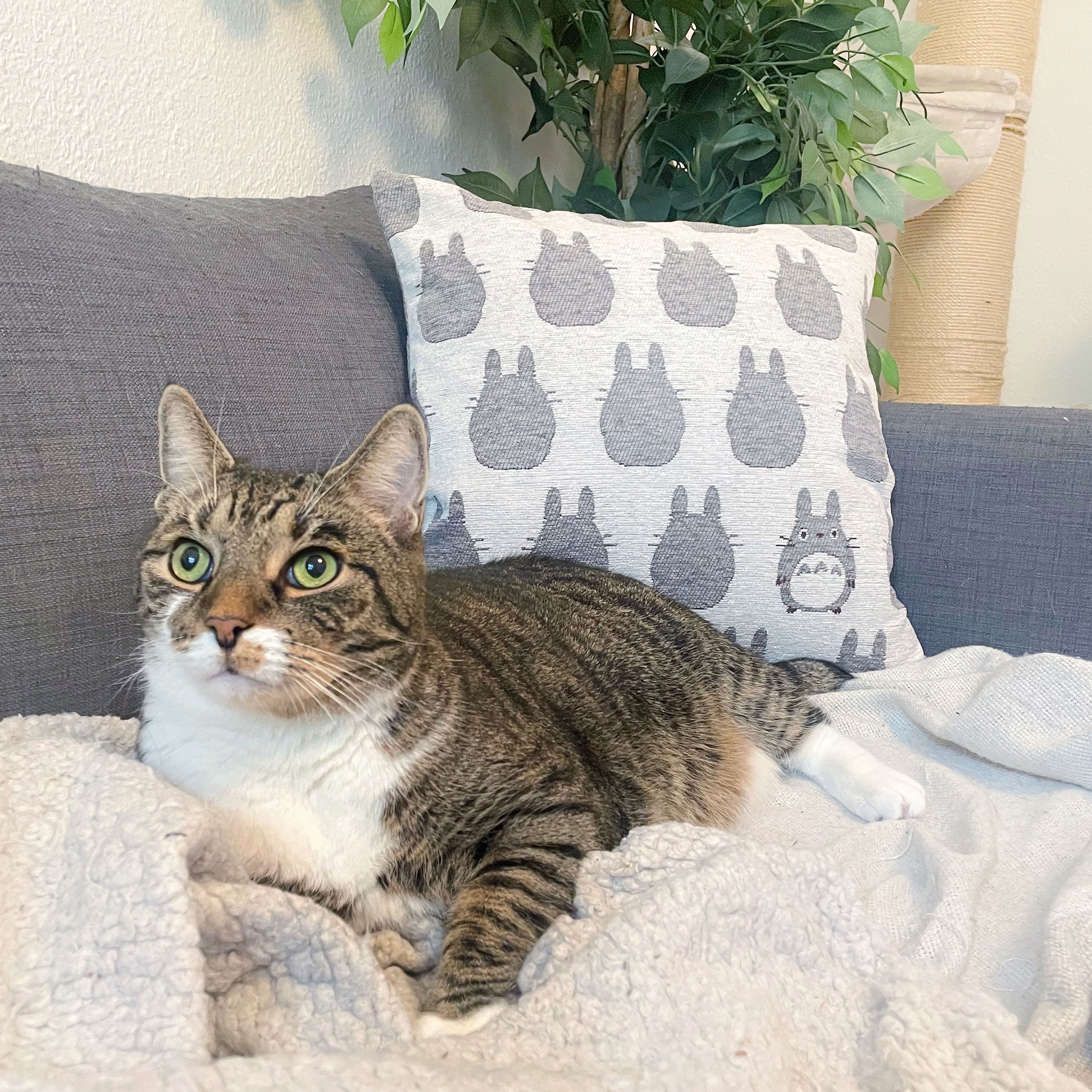 Zdjęcie produktu Totoro - Poduszka z sylwetką Totoro
