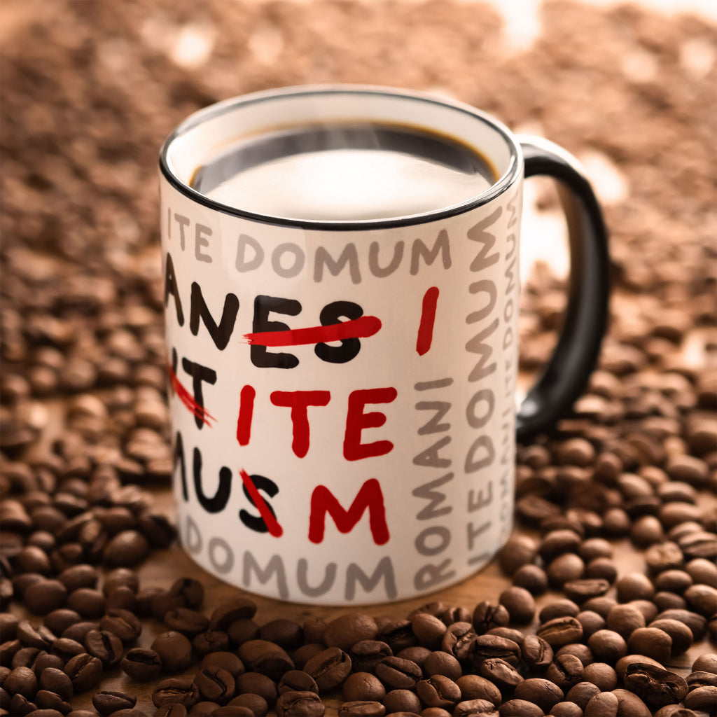 Product image Romani Ite Domum Mug for Monty Python Fans