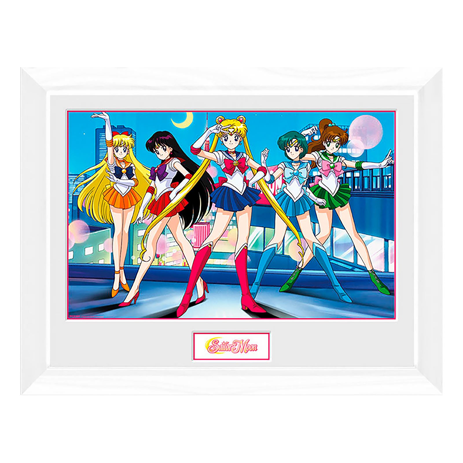 Zdjęcie produktu Sailor Moon - Grupa Obraz na Ścianę