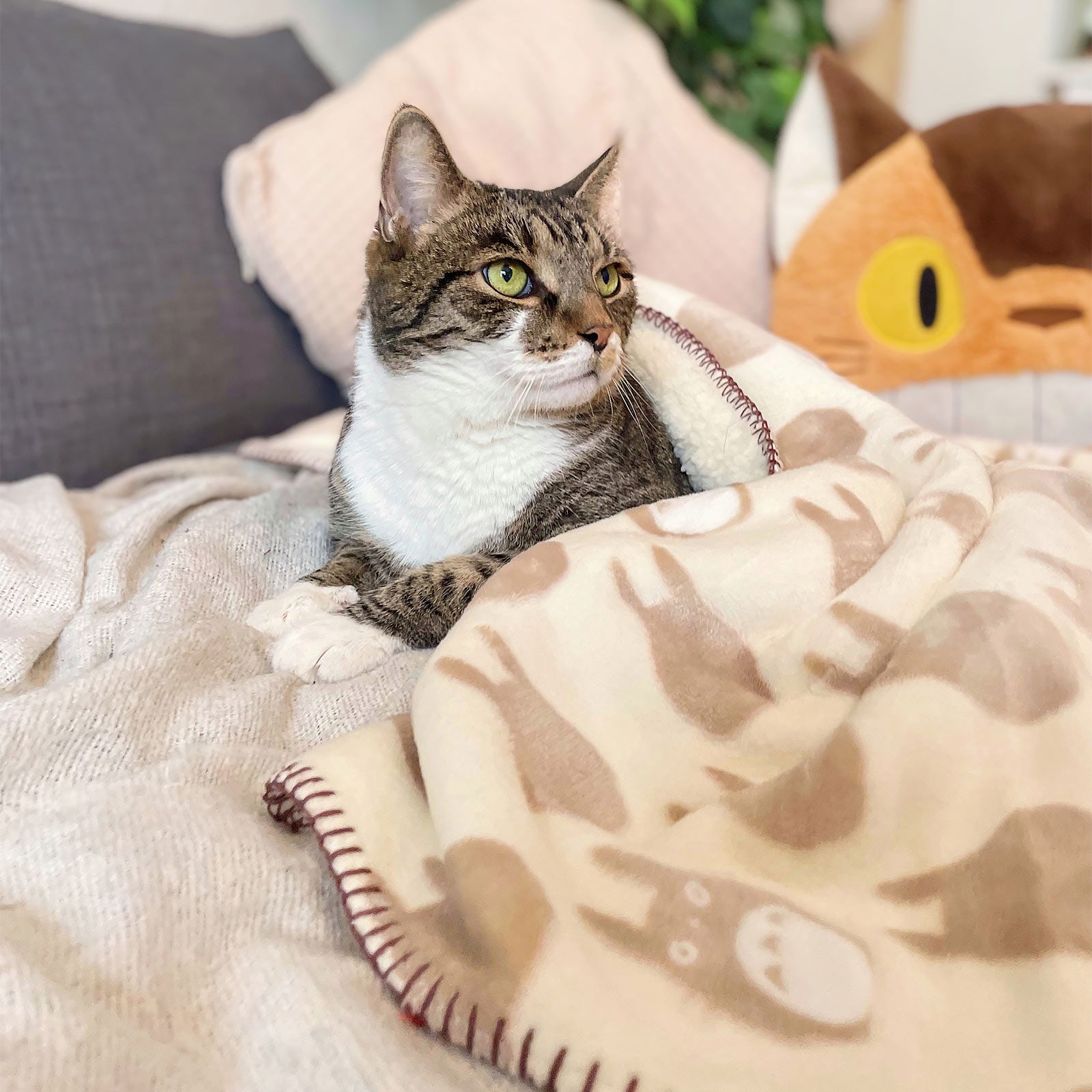 Zdjęcie produktu Totoro - Koc z pluszu z sylwetką z miękkim misiowym futerkiem