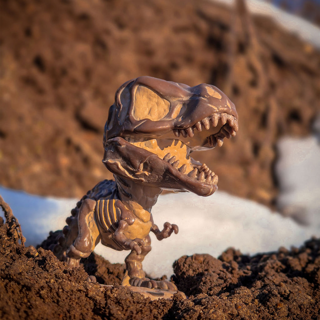Zdjęcie produktu Jurassic World - Figurka Funko Pop Tyrannosaurus jako skamielina