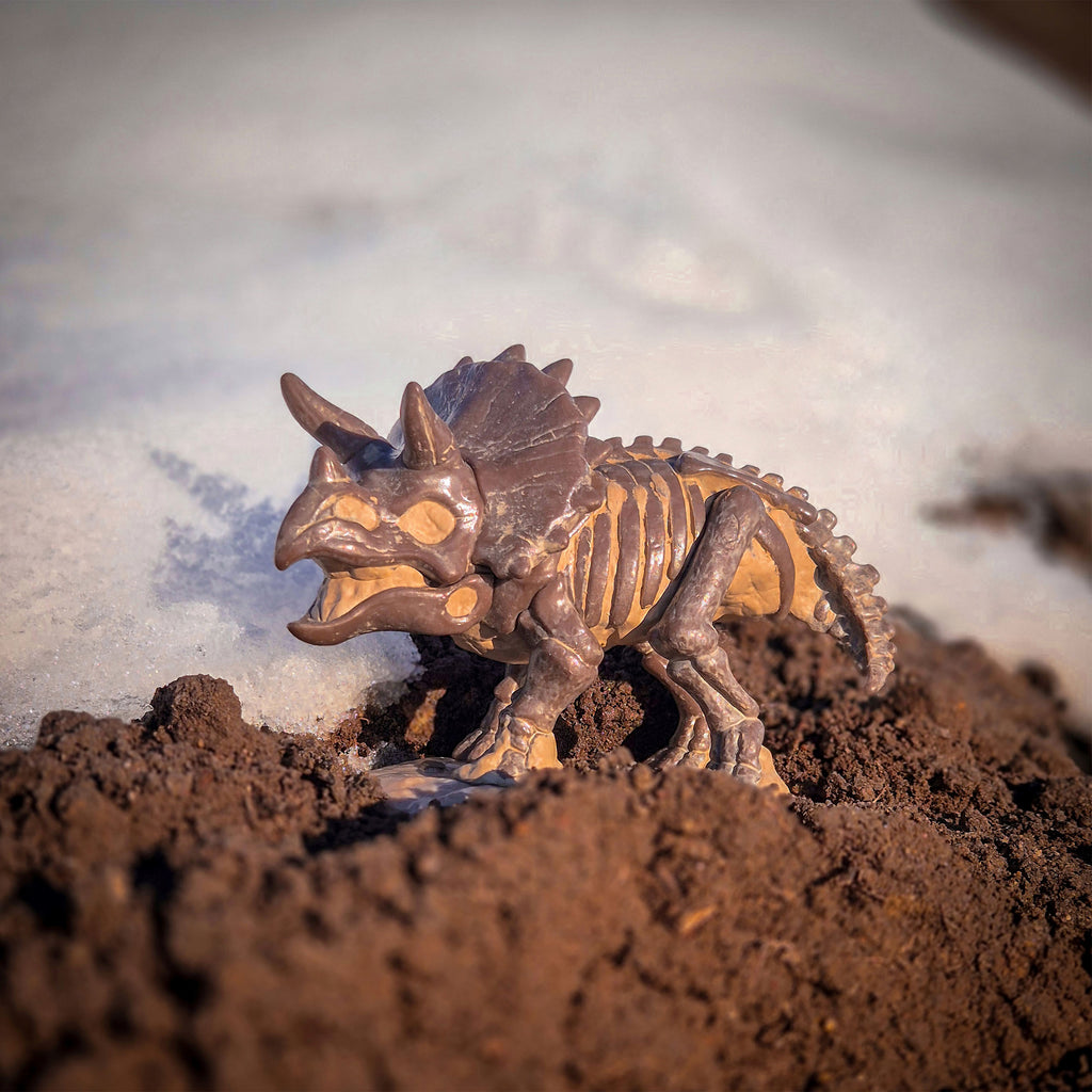Zdjęcie produktu Jurassic World - Fossil Triceratops Funko Pop Figurka