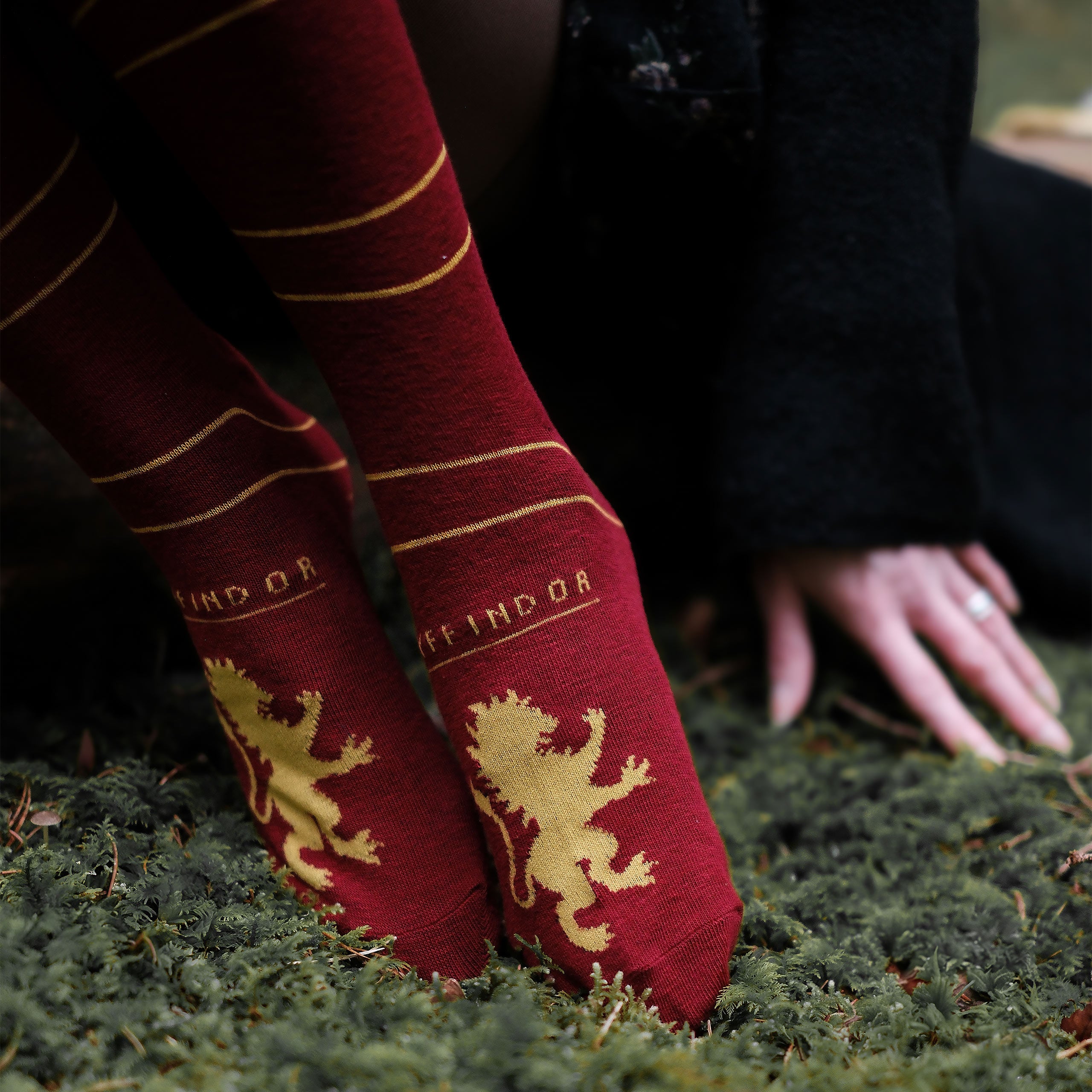 Product image Harry Potter - Gryffindor Overknee Socks 2-Pack