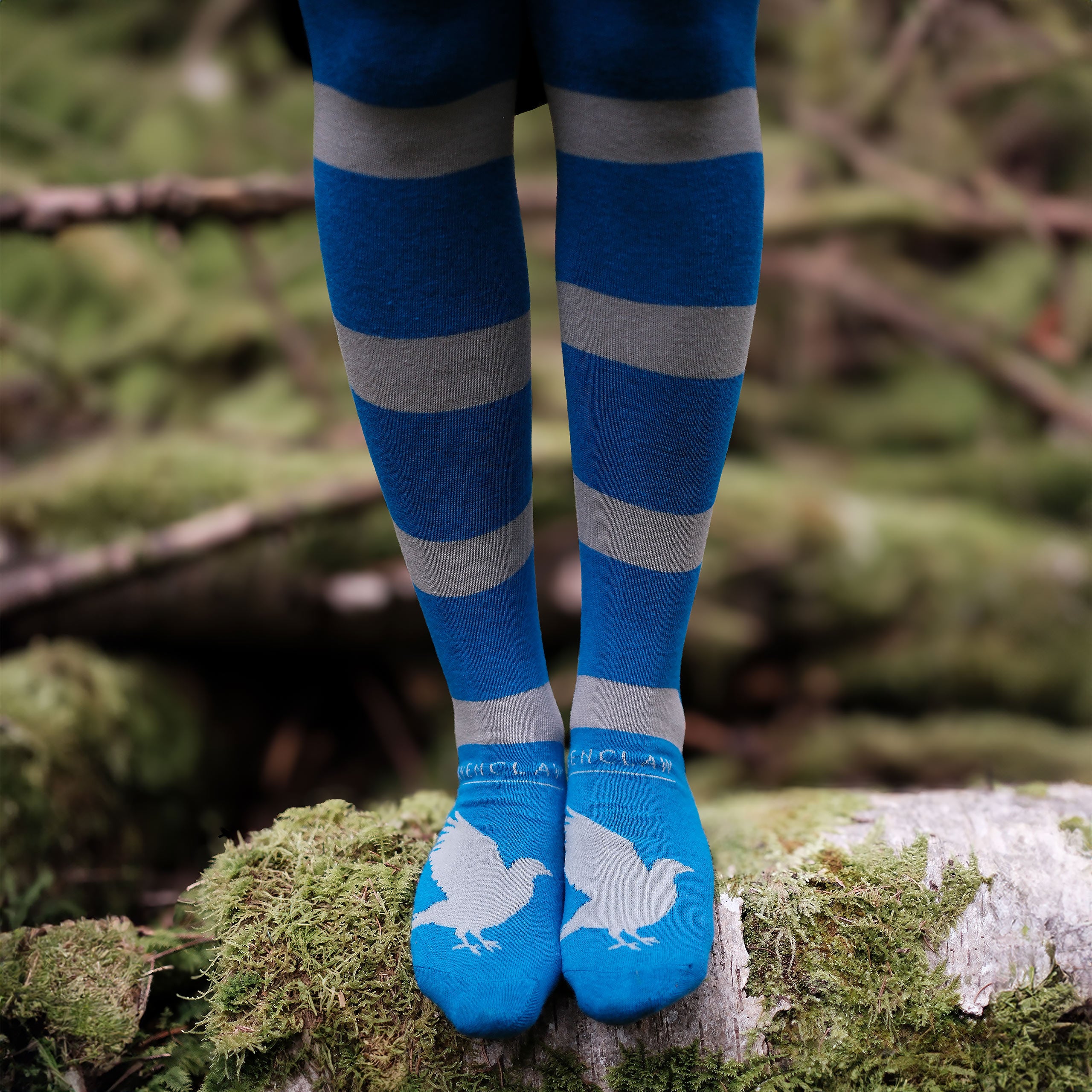Zdjęcie produktu Harry Potter - Ravenclaw Overknee Skarpety 2-częściowy zestaw