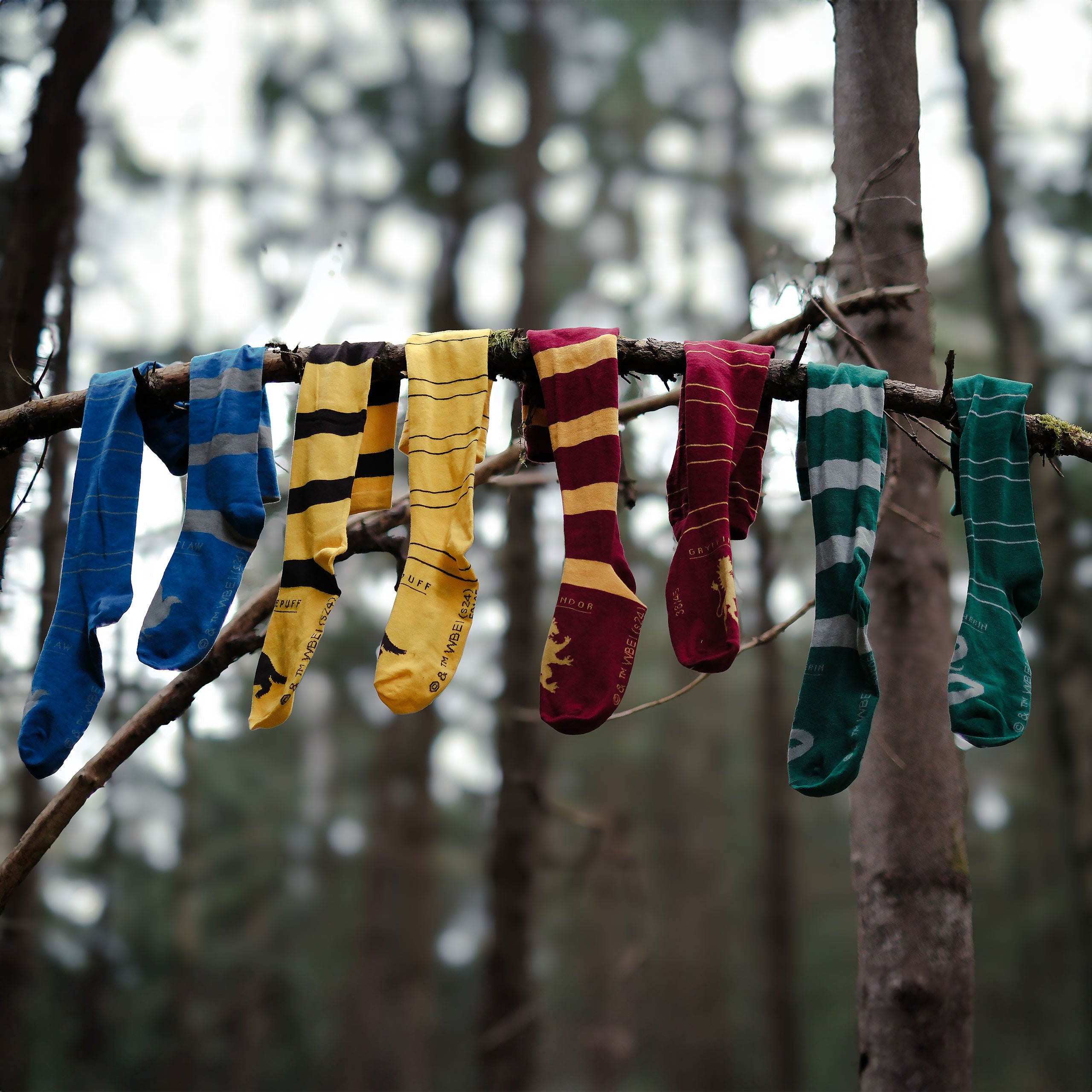 Zdjęcie produktu Harry Potter - Ravenclaw Overknee Skarpety 2-częściowy zestaw