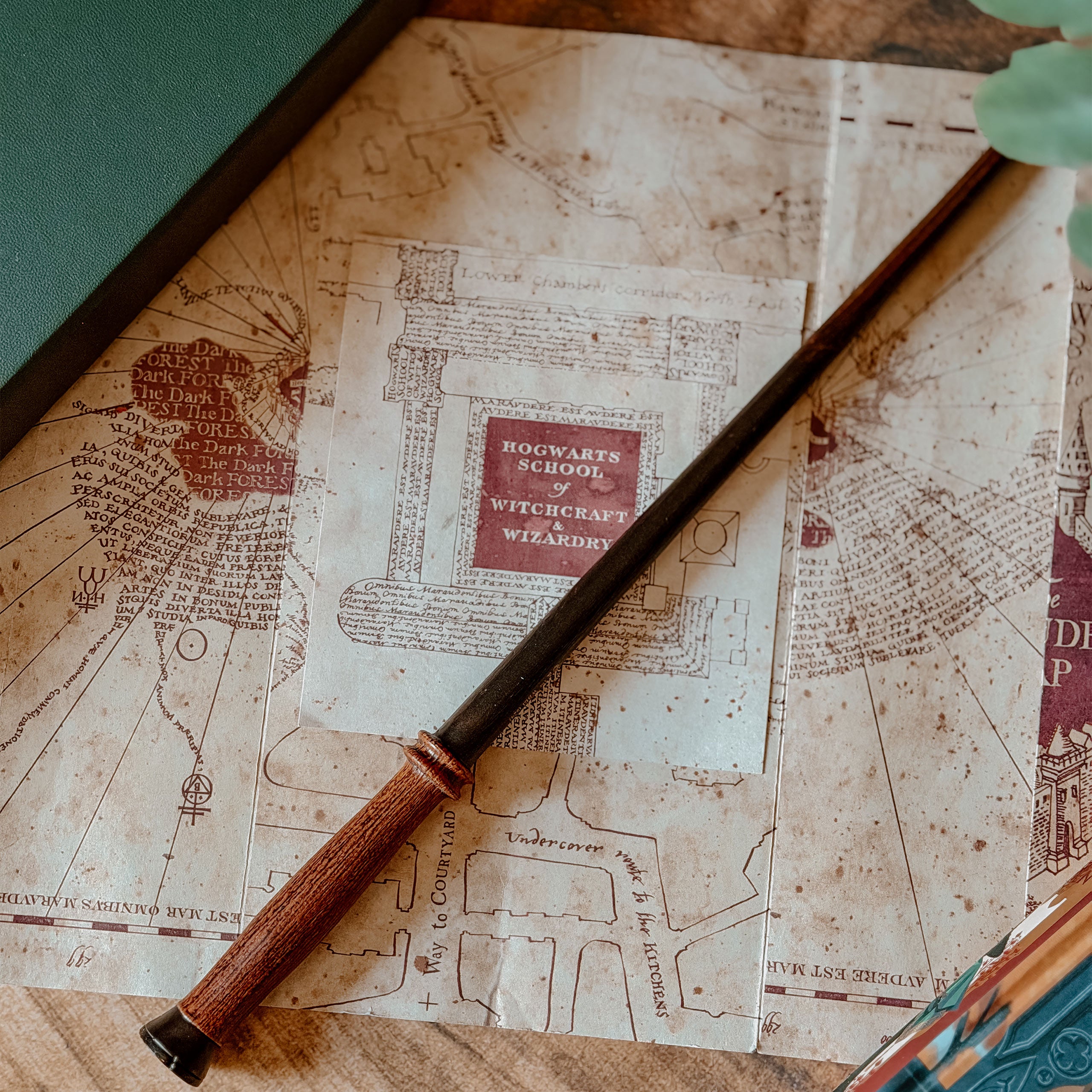 Zdjęcie produktu Pierwsza różdżka Harry'ego - Kolekcja Pierwszych Różdżek Harry Potter