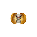 Product image Jurassic Park - Mystery Funko Pocket Pop Figure