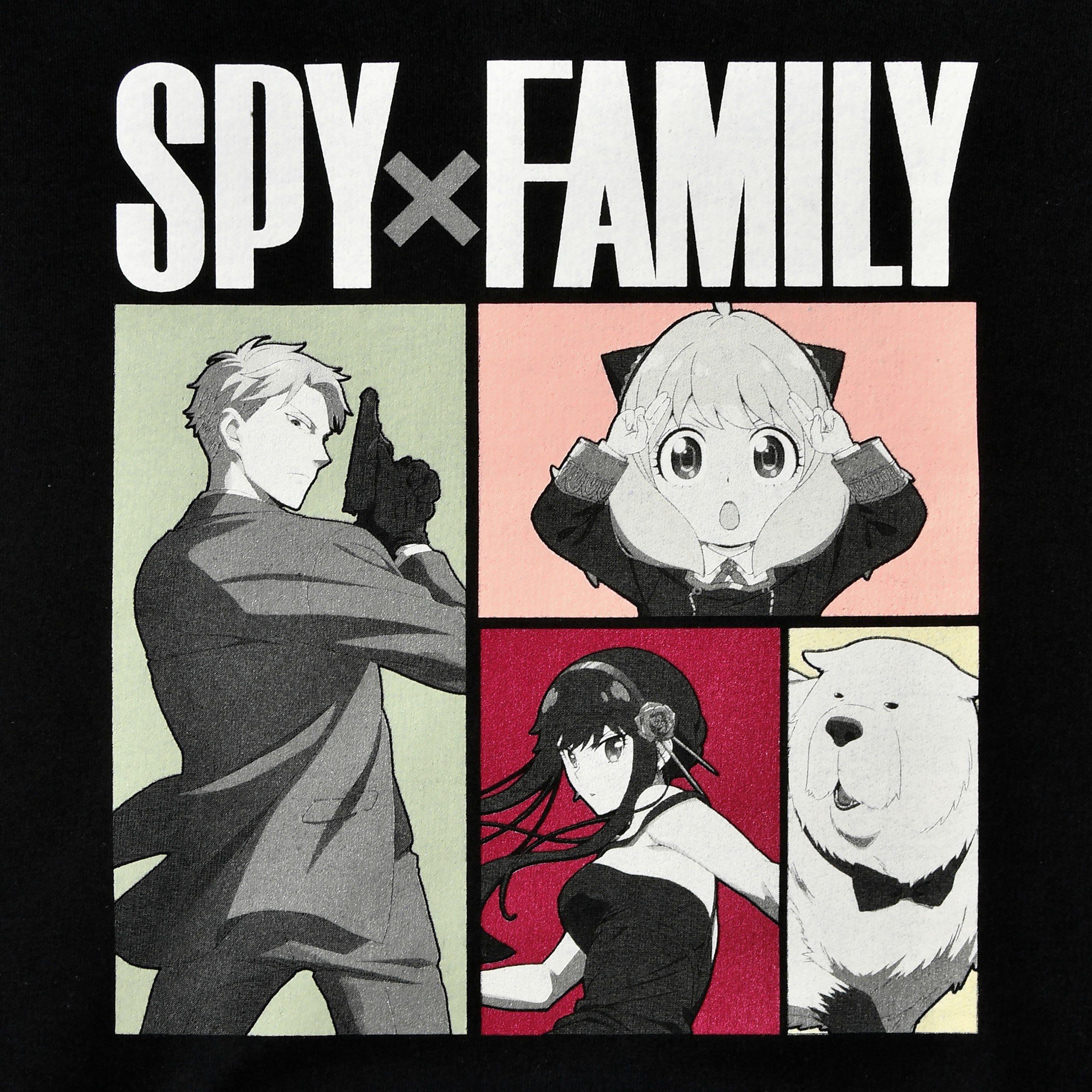 Product image Spy x Family - Family Forger Hoodie