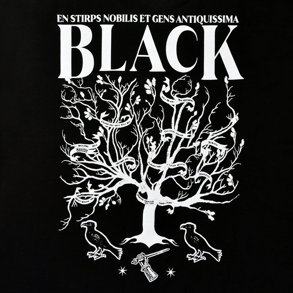 Zdjęcie produktu Harry Potter - House of Black T-shirt czarny