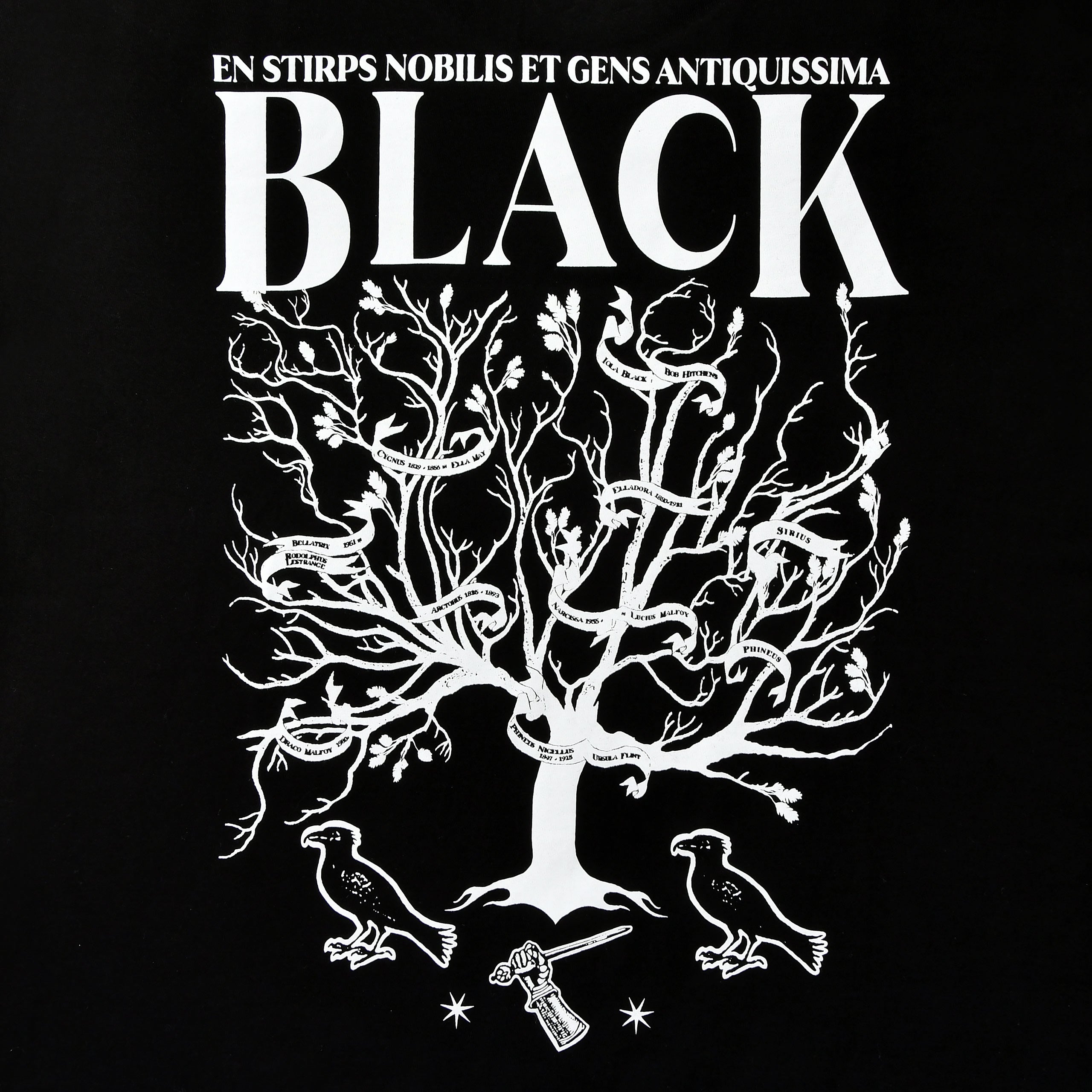 Zdjęcie produktu Harry Potter - House of Black T-shirt czarny