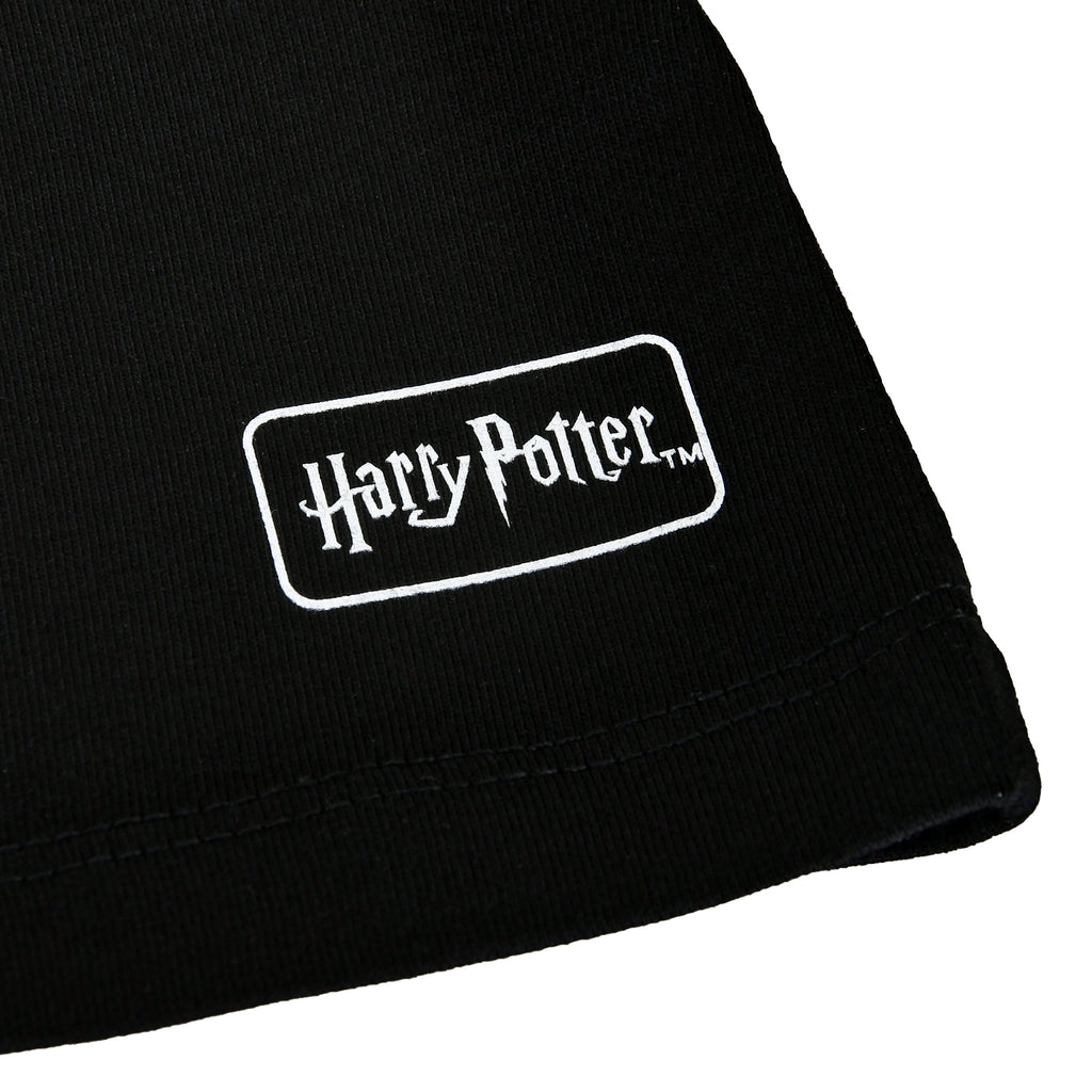 Zdjęcie produktu Harry Potter - House of Black T-shirt czarny