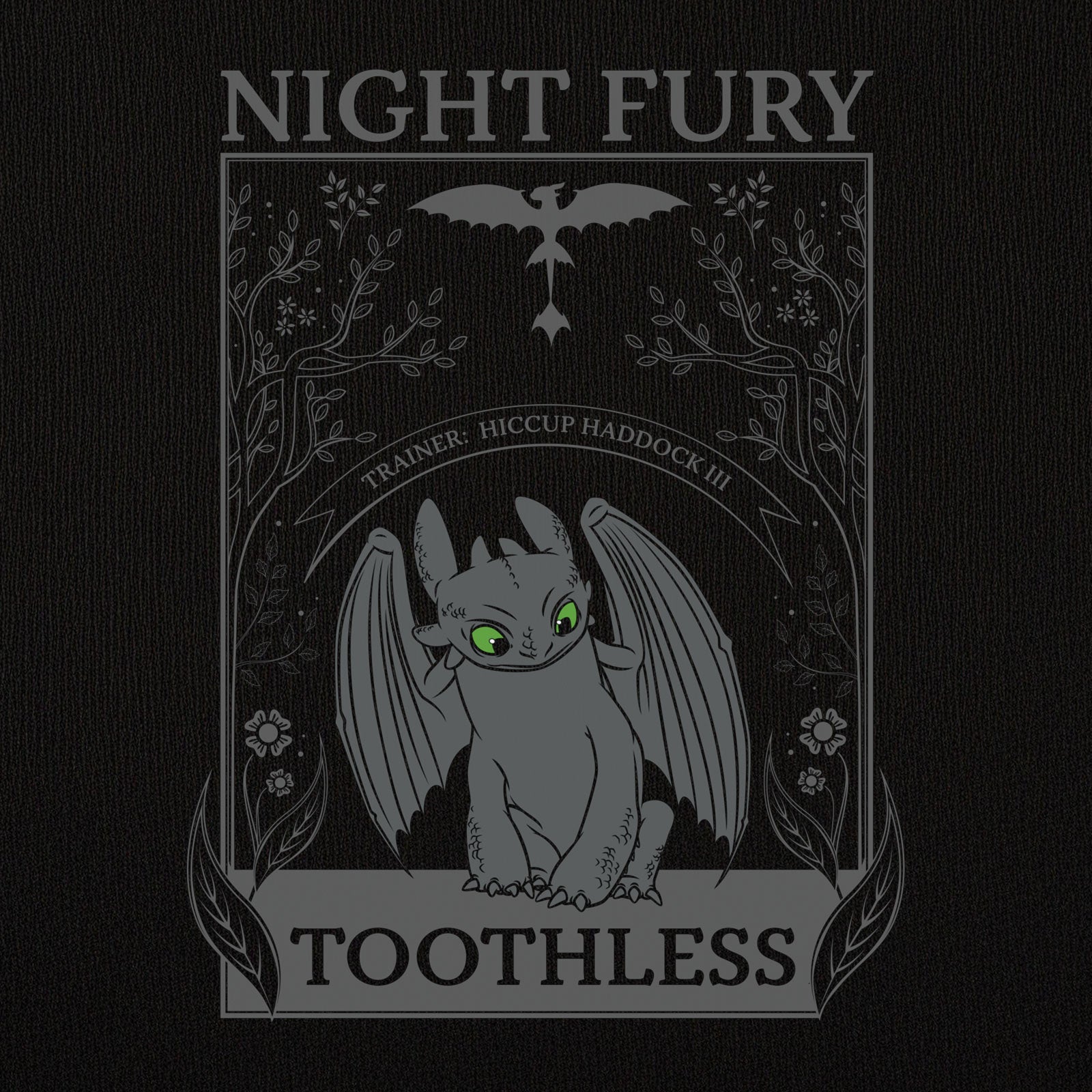 Product image How to Train Your Dragon - Night Fury Women's T-Shirt Black