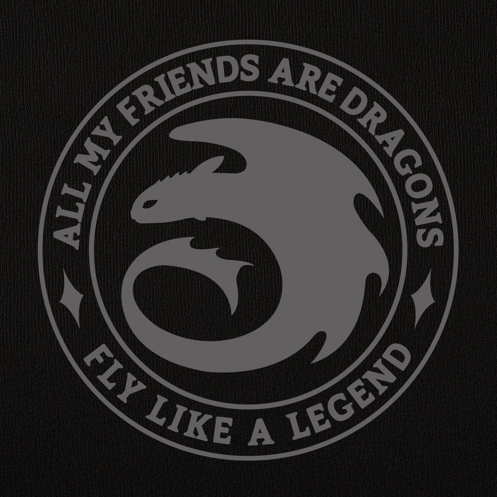 Product image How to Train Your Dragon - Night Fury Legend Hoodie black