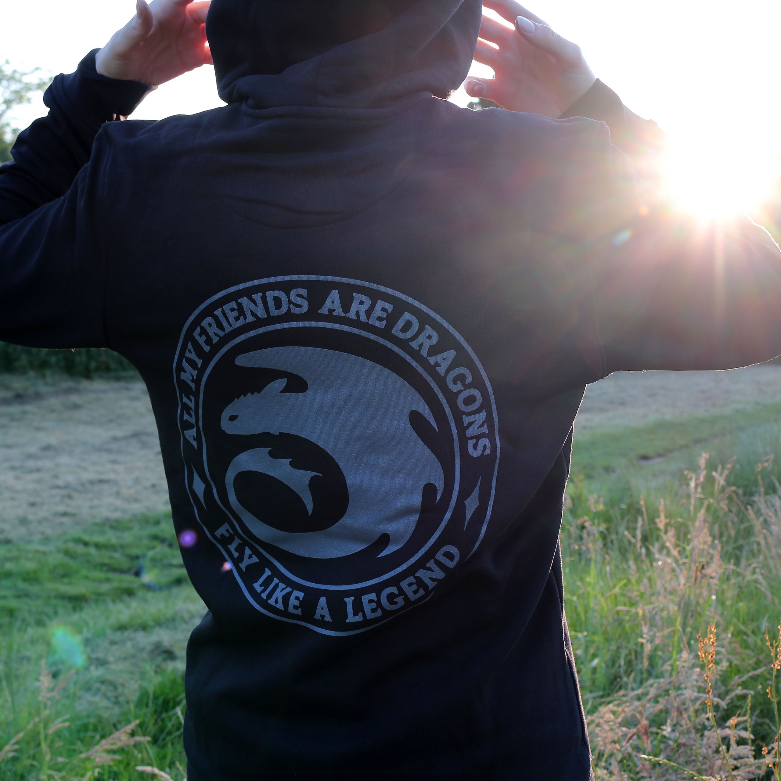 Product image How to Train Your Dragon - Night Fury Legend Hoodie black