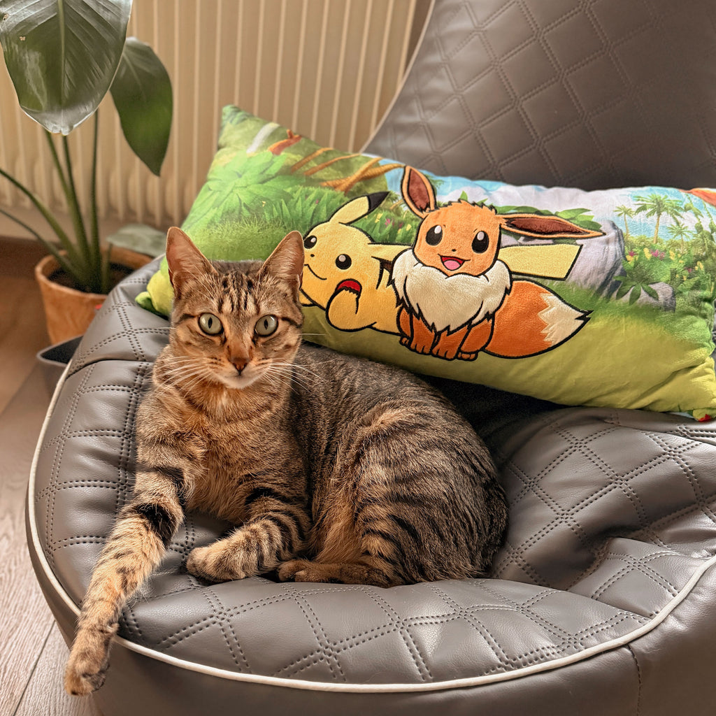 Zdjęcie produktu Pokémon - Poduszka Pikachu i Eevee