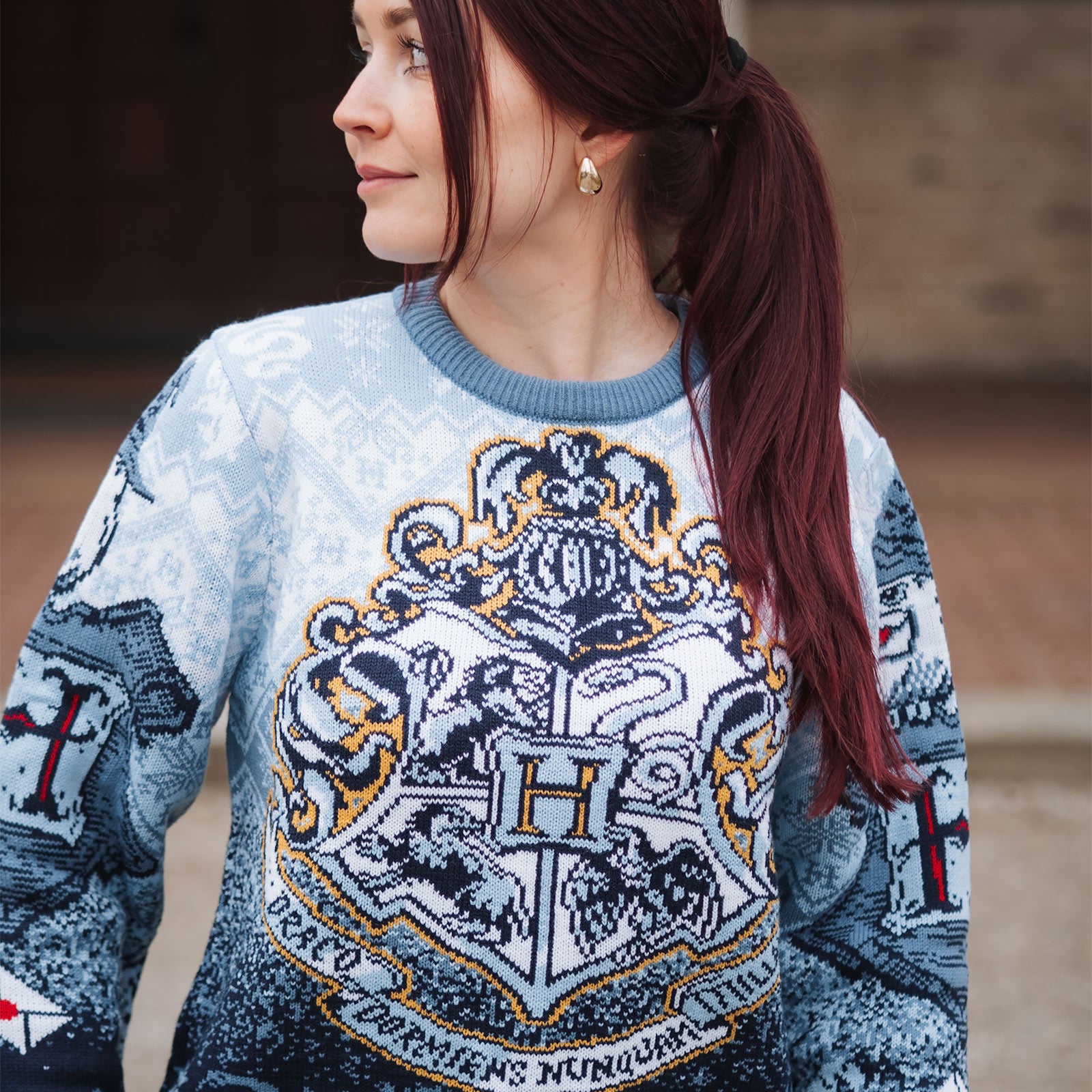 Zdjęcie produktu Harry Potter - Sweter dzianinowy Hogwarts