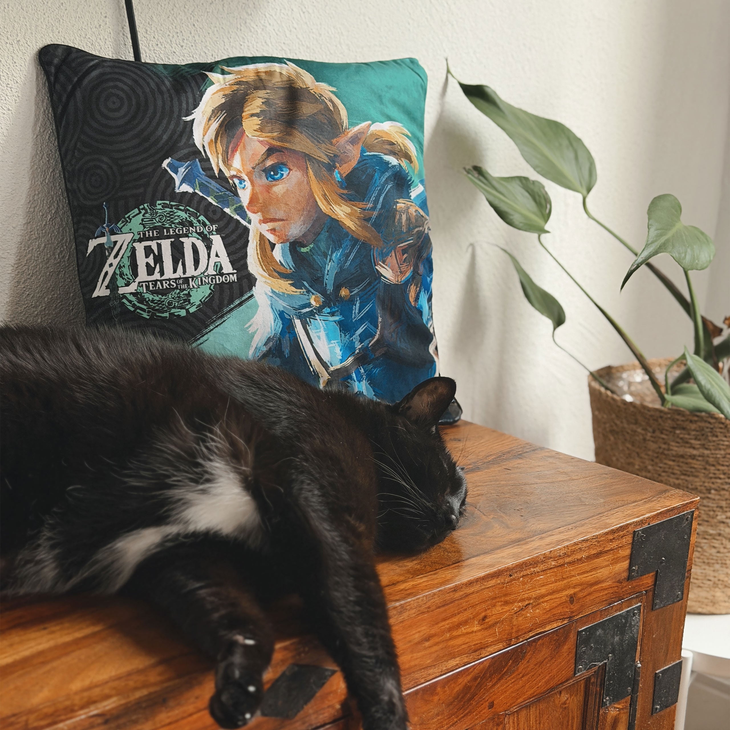 Zdjęcie produktu Poduszka Link - Zelda