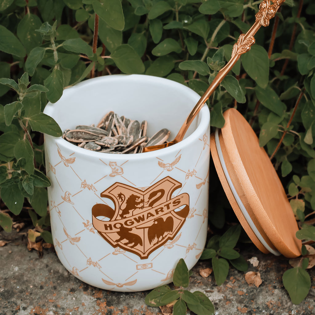 Zdjęcie produktu Harry Potter – Pojemnik Hogwarts Serene Collection