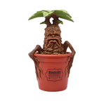 Zdjęcie produktu Harry Potter - Figurka ogrodowa Mandragora