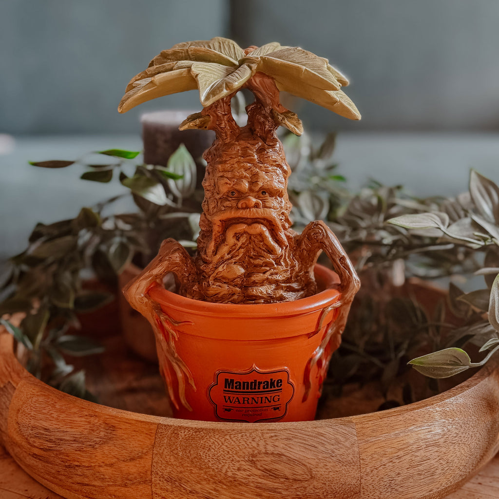 Zdjęcie produktu Harry Potter - Figurka ogrodowa Mandragora