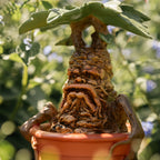 Zdjęcie produktu Harry Potter - Figurka ogrodowa Mandragora