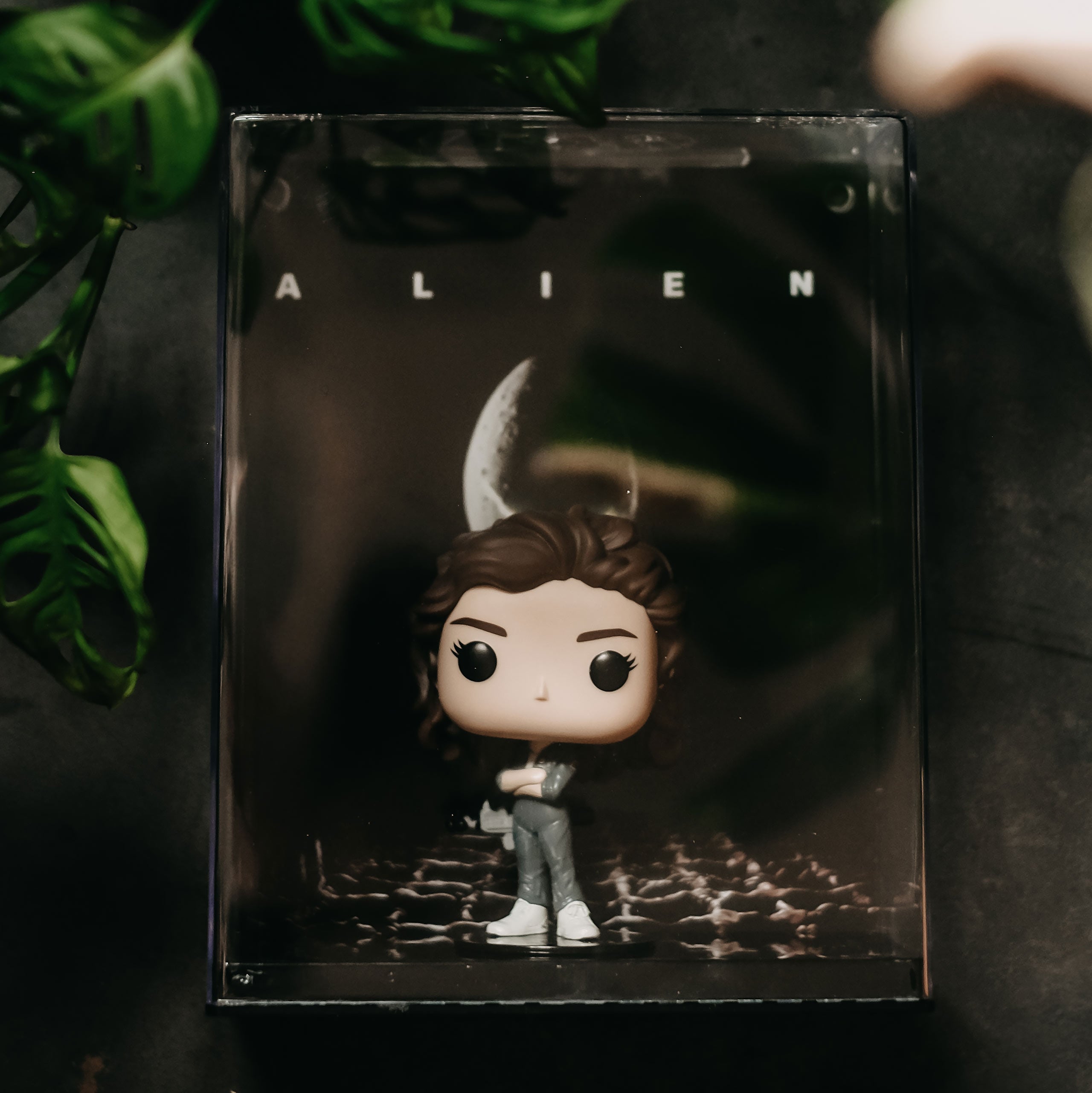 Zdjęcie produktu Alien - Figurka Diorama Funko Pop Ripley