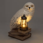 Zdjęcie produktu Hedwiga 3D lampa solarna - Harry Potter