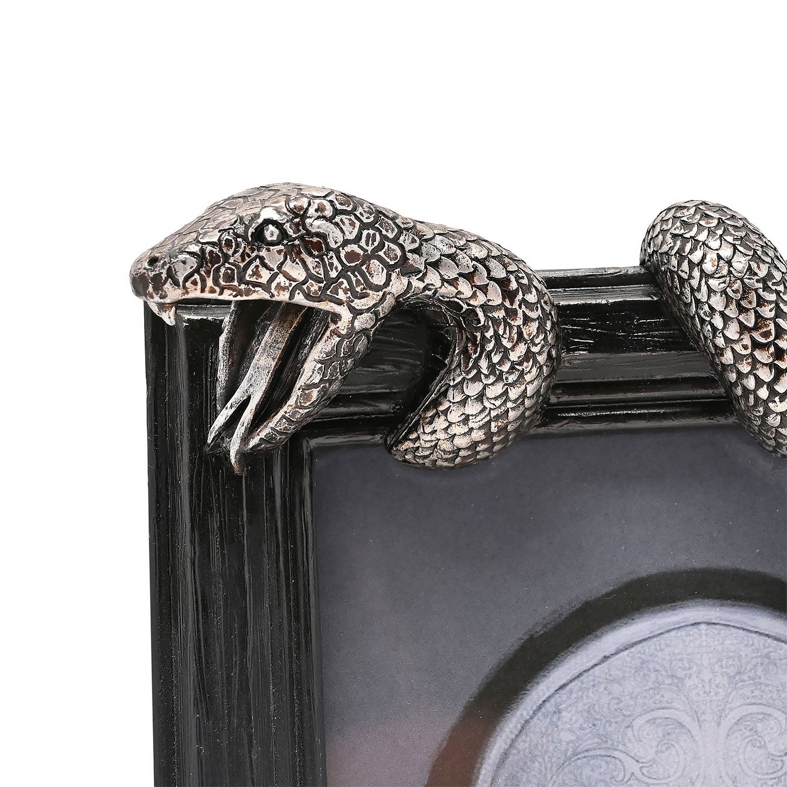 Zdjęcie produktu Harry Potter – Ramka na zdjęcia Nagini