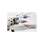 Zdjęcie produktu Ikaruga - Figurka Model Kit Ginkei