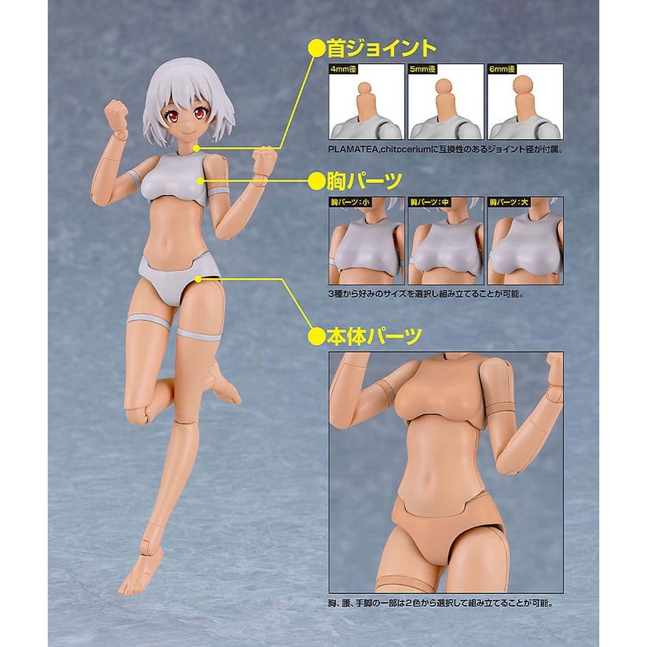 Zdjęcie produktu PLAMATEA Zestaw modelarski - Muse Body: Ichika typ C