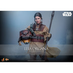Zdjęcie produktu Star Wars Epizod VI – Figurka akcji Leia Organa Masterpiece 1:6