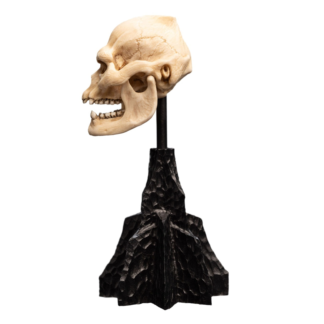 Zdjęcie produktu Władca Pierścieni - Mini statuetka Czaszka Lurtza