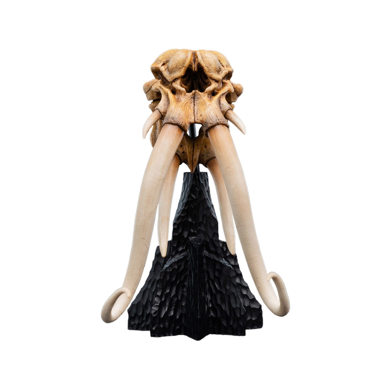 Product image The Lord of the Rings - Skull of a Mumak Mini Statue