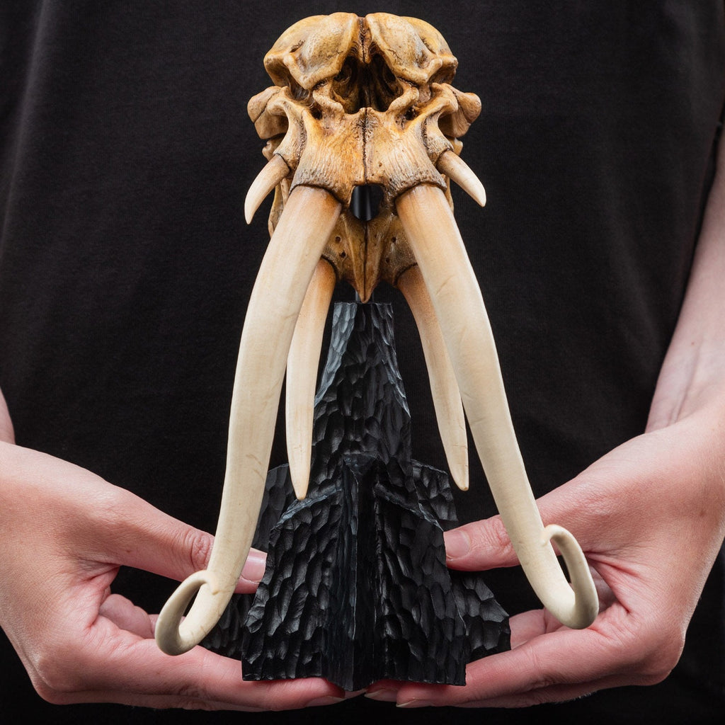 Zdjęcie produktu Władca Pierścieni - Czaszka Mumaka Mini Figura