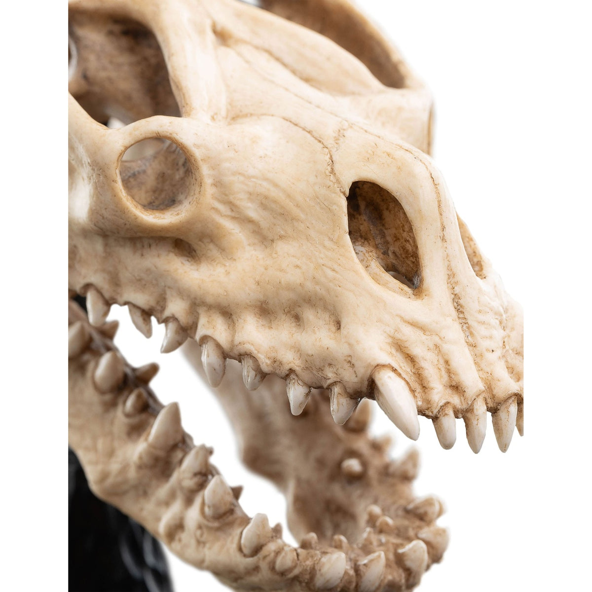 Product image The Lord of the Rings - Skull of a Fell Beast Mini Statue