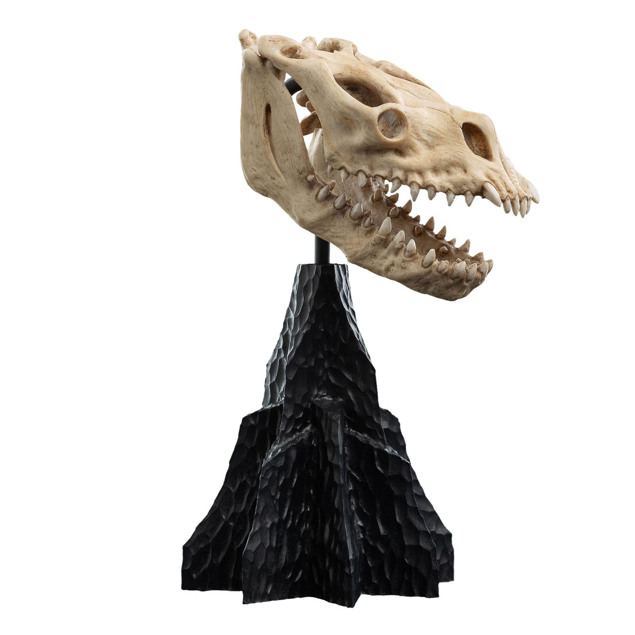 Product image The Lord of the Rings - Skull of a Fell Beast Mini Statue