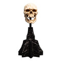 Product image The Lord of the Rings - Skull of a Mordor Orc Mini Statue