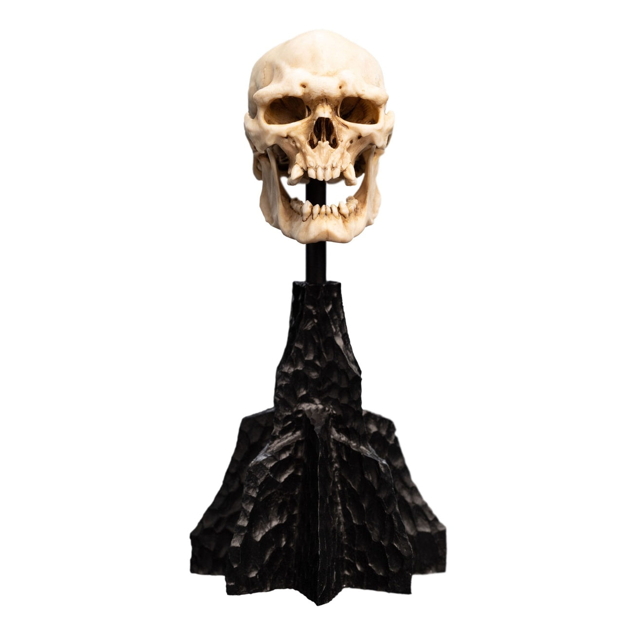 Product image The Lord of the Rings - Skull of a Mordor Orc Mini Statue