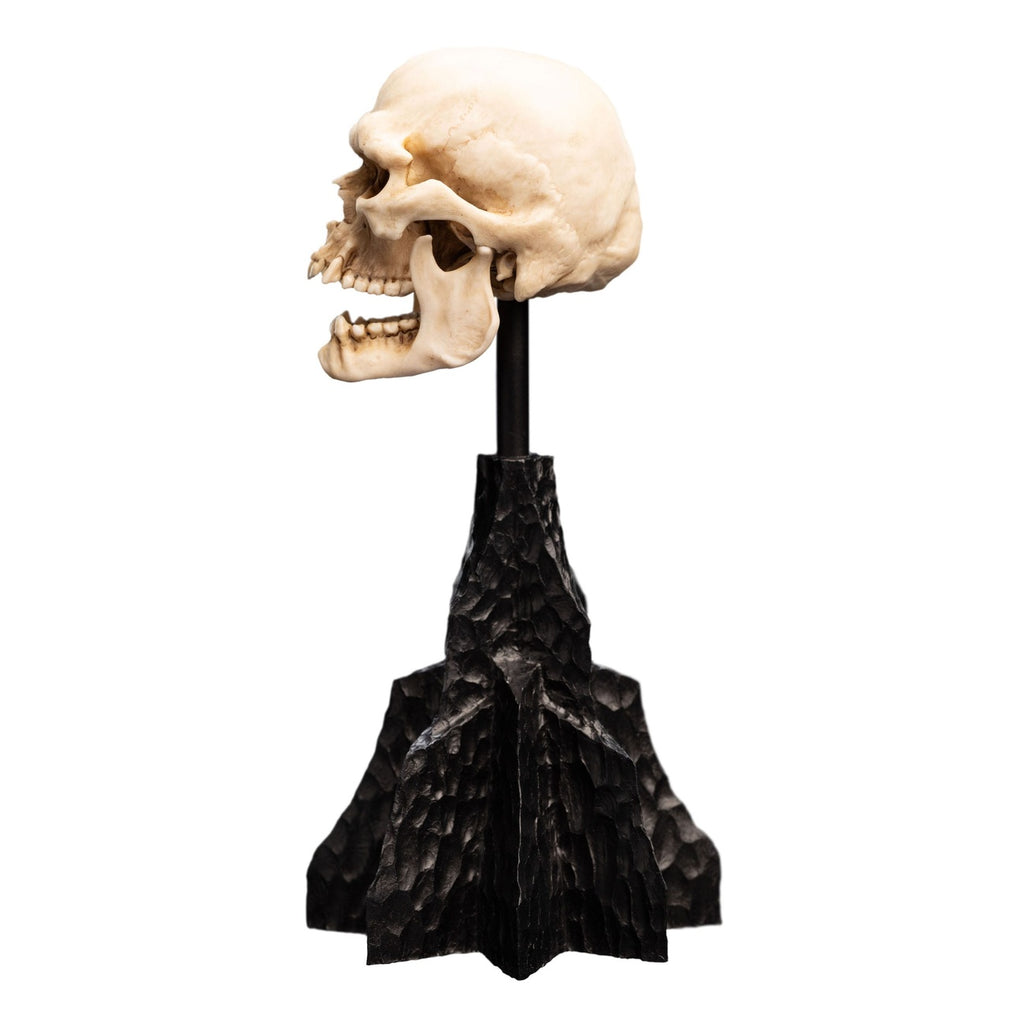 Product image The Lord of the Rings - Skull of a Mordor Orc Mini Statue
