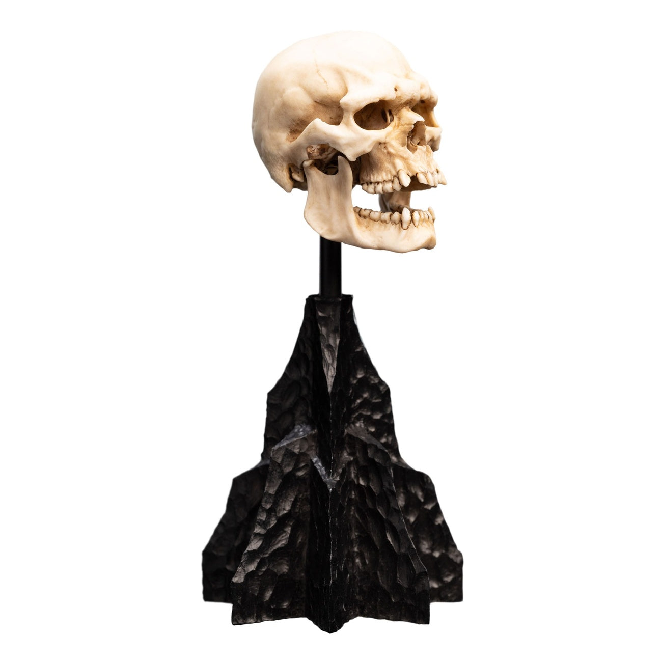 Product image The Lord of the Rings - Skull of a Mordor Orc Mini Statue